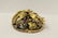 A beautiful Victorian 14K rose gold brooch - 7