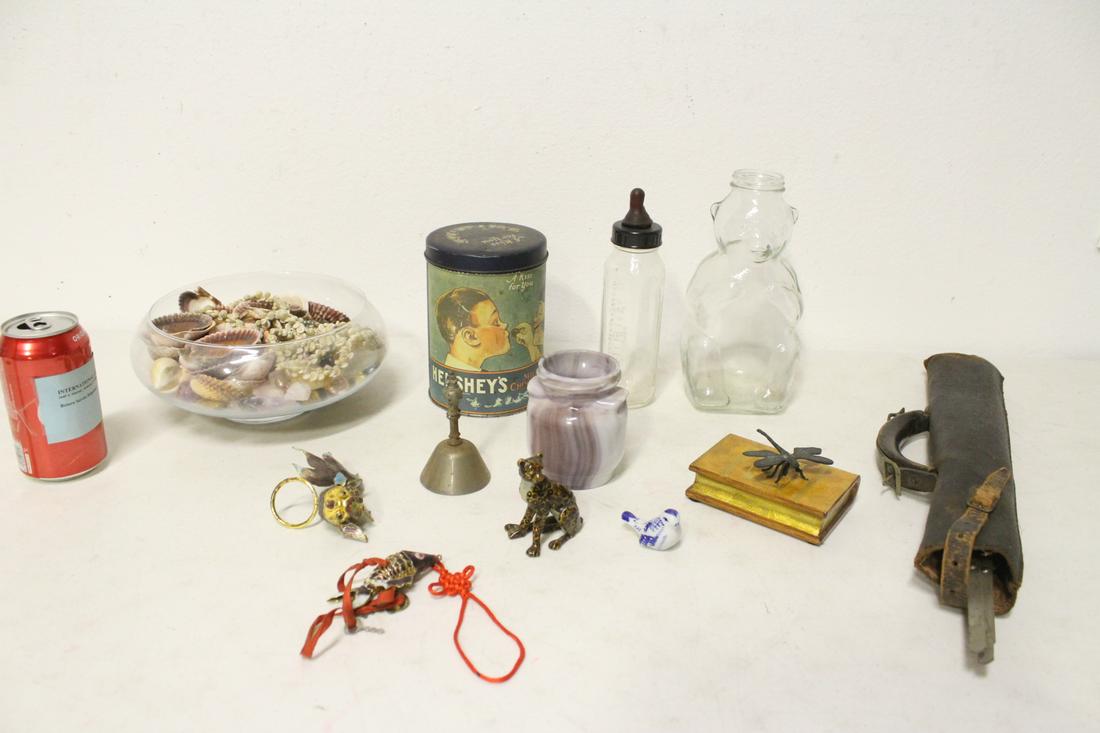 Lot of seashells, stones, and misc. (1 of 10)