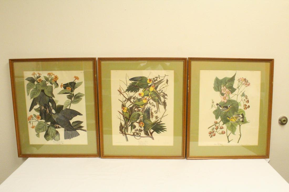 3 vintage J. J. Audubon bird prints (1 of 10)