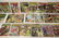 Approx. 28 early Hawkman and Metal Man comic book - 3