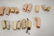 Lot of antique doll parts - 10