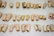Lot of antique doll parts - 3