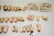 Lot of antique doll parts - 4