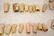 Lot of antique doll parts - 6