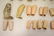 Lot of antique doll parts - 8