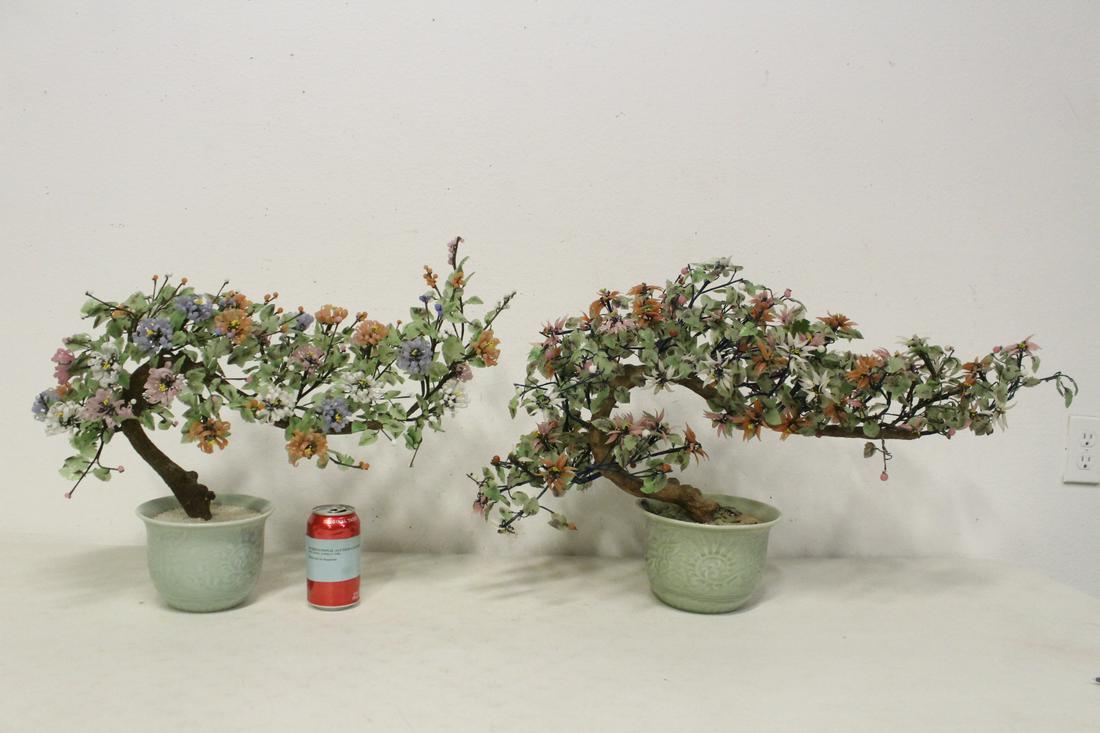 Pair Chinese jade trees (1 of 10)