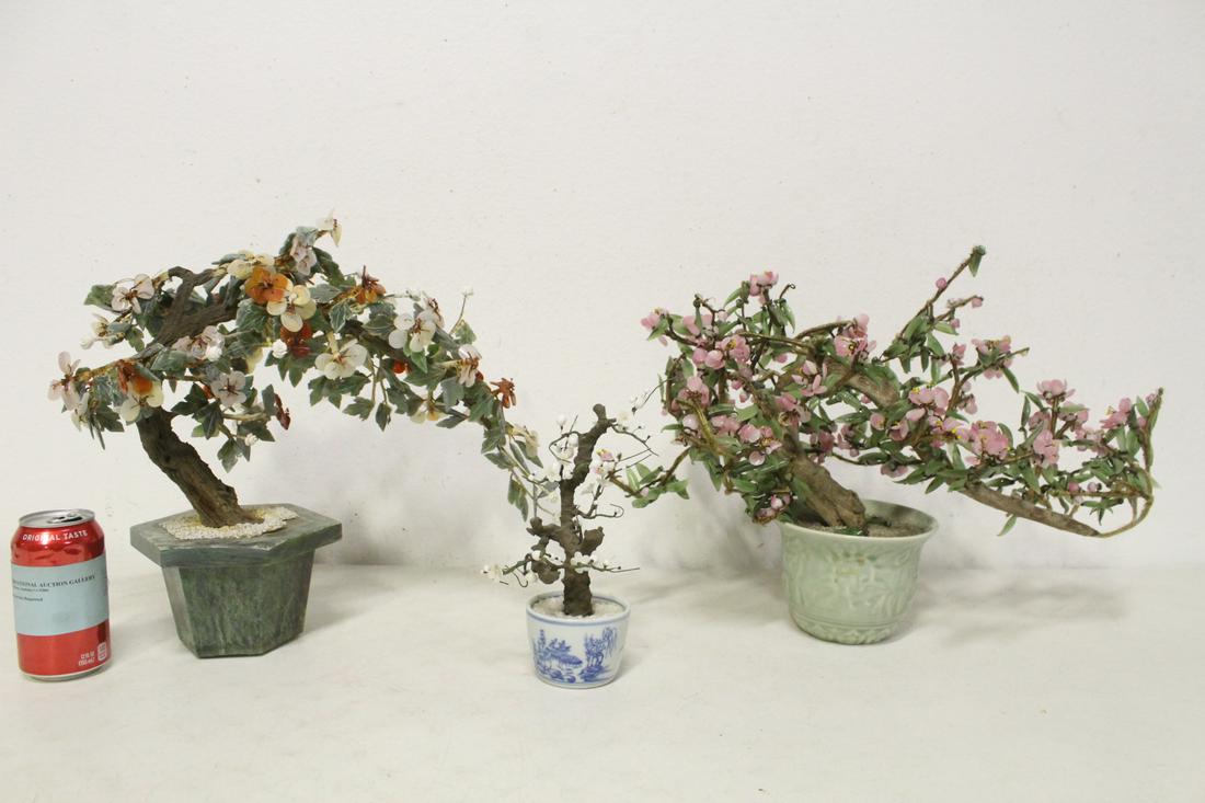 2 Chinese jade trees and a small jade like tree (1 of 10)