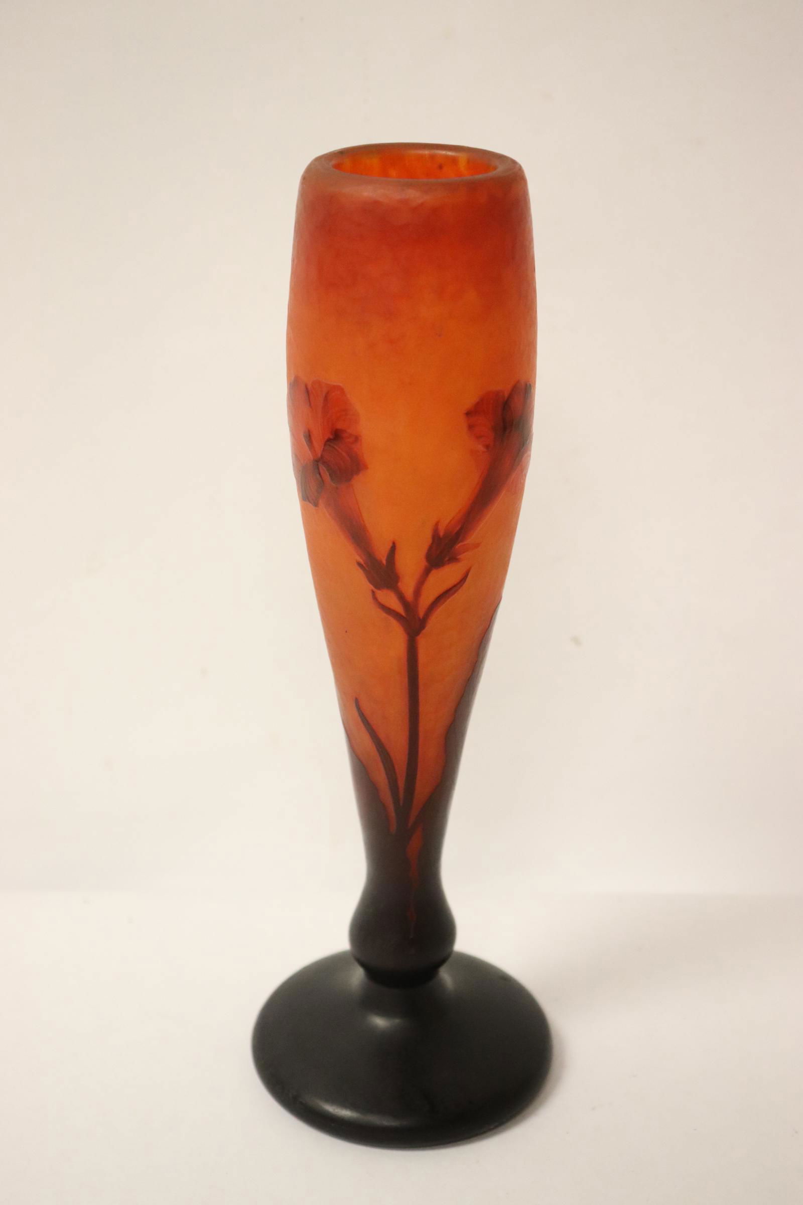 A beautiful Daum Nancy cameo art glass vase (1 of 10)