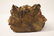 Chinese antique gilt wood carved deity - 9