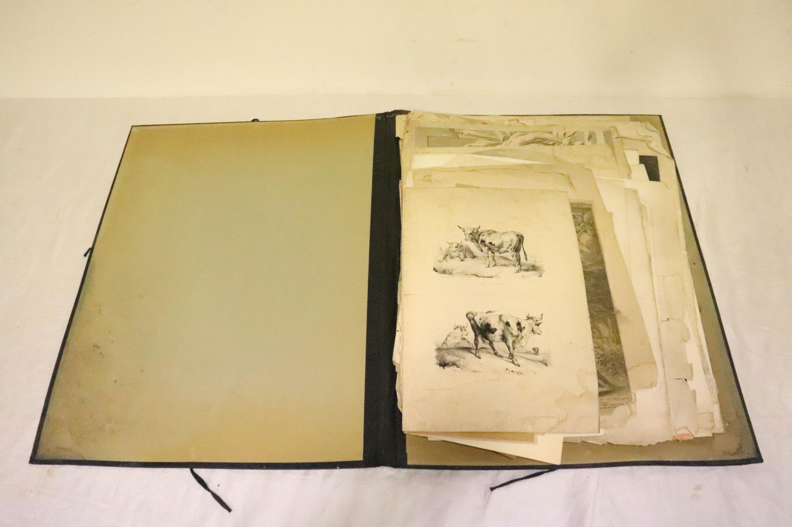 Lot of antique etchings, prints, most large examples (1 of 10)