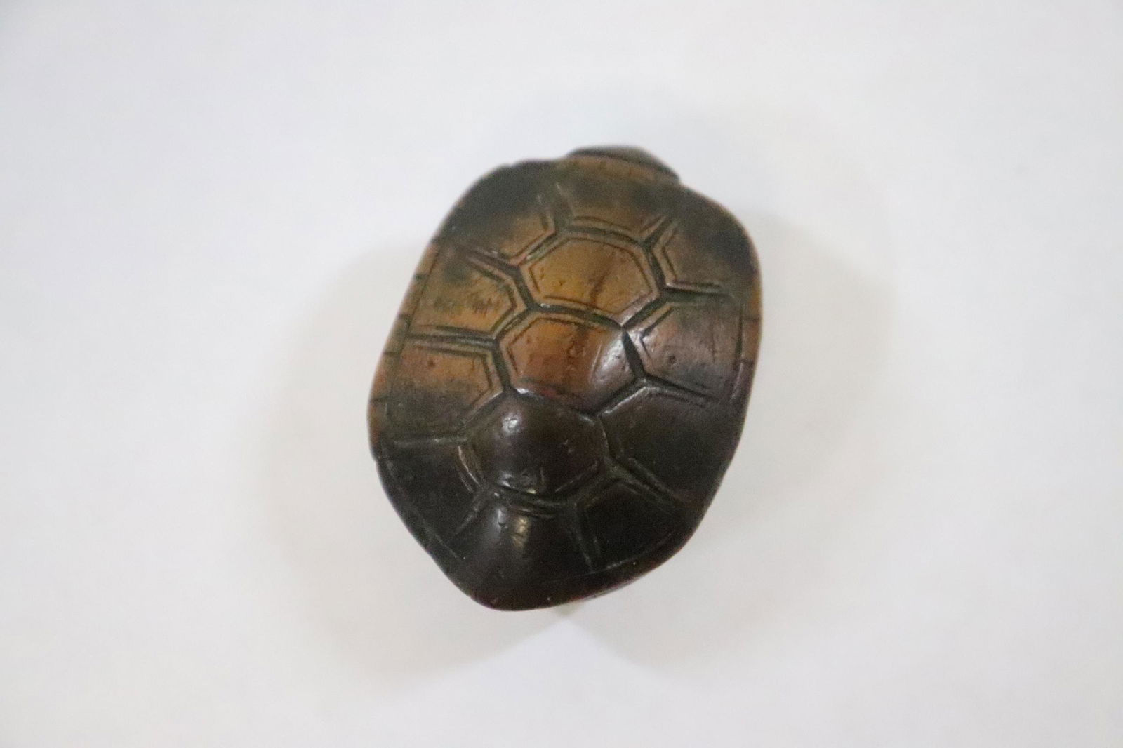 A wood carved netsuke "turtle" (1 of 8)