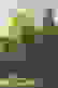 item-90900290=7