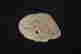 item-92938907=9