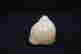 item-92938927=5