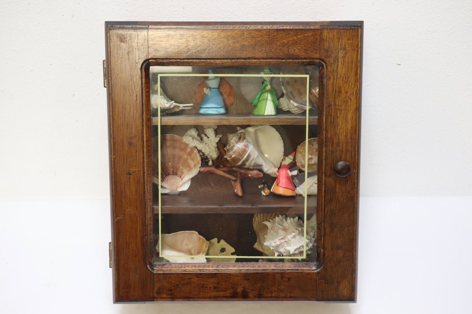 A wall hanging cabinet with shell collection: A wall hanging cabinet (16.6"Hx14.75"x5.25") with shell collection