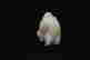item-99703049=2