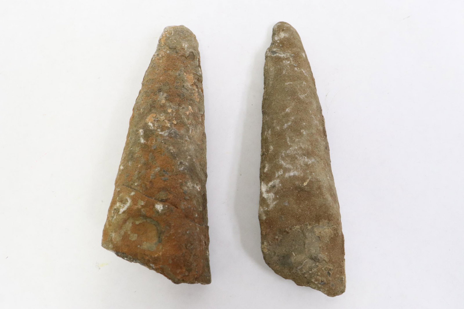 2 T-rex fossilized teeth(?): 2 T-rex fossilized teeth(?), 5.95"L 6.5"L