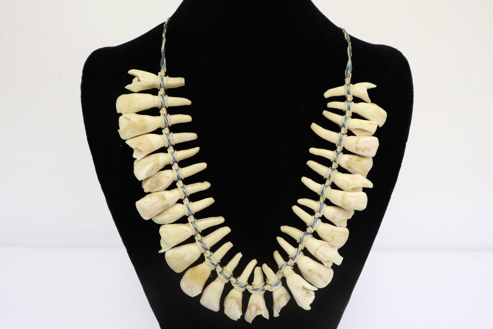 Chinese necklace made of bear teeth(?): Chinese necklace made of bear teeth(?)