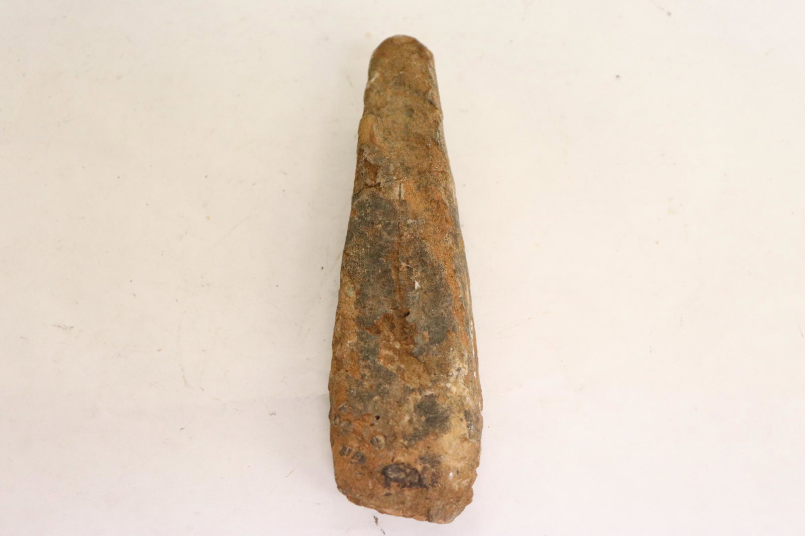 A fossil of tyrannosaurus teeth?: A fossil of tyrannosaurus teeth?, 5.95"x1.6"x1.15"