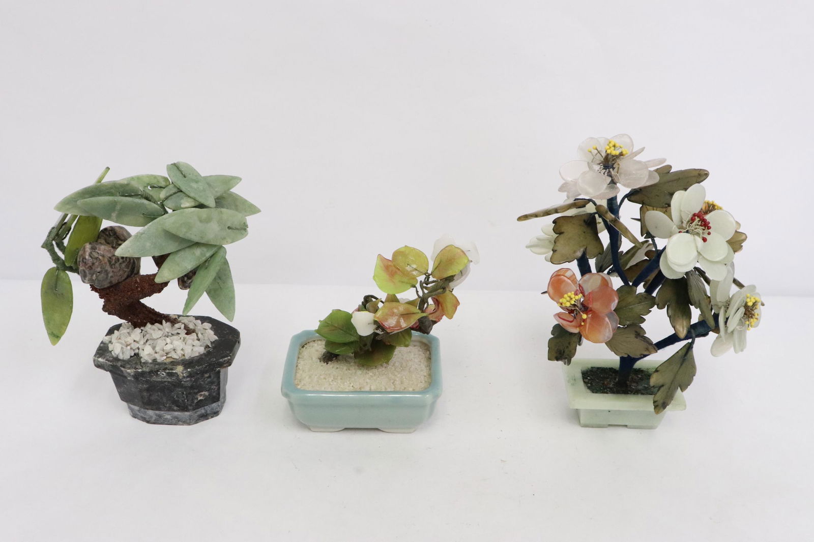 3 small jade trees (1 of 10)