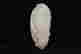 item-115000392=2