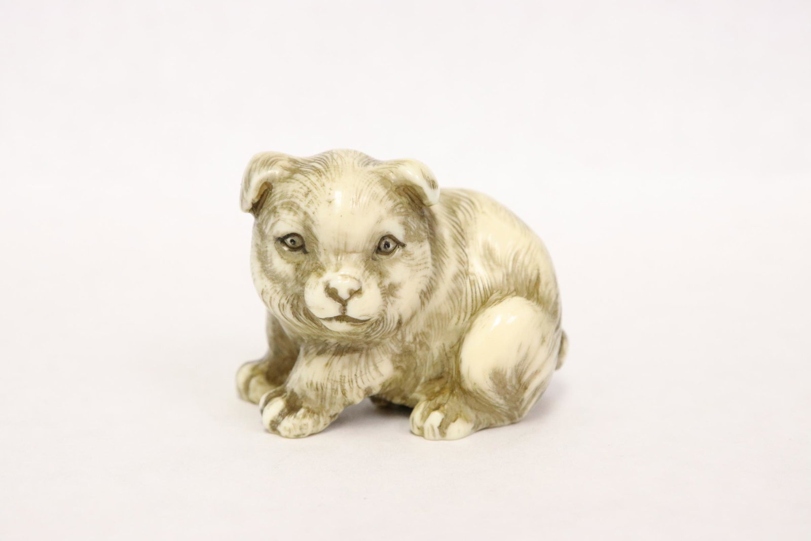 Japanese bone carved netsuke "dog": Japanese bone carved netsuke "dog", 1.25"H