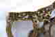 item-131506903=7