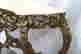 item-131506903=8
