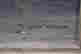item-131506926=9