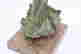 item-131506938=9