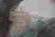item-131506970=7