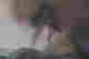item-131506970=8