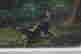item-131507065=10