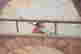 item-131507065=12