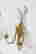 item-131507071=10
