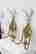 item-131507071=4