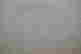 item-131507090=3