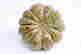 item-131507130=5