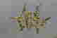 item-131507143=4