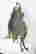 item-131507143=6