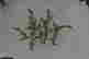 item-131507143=8