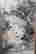 item-131507221=2