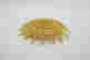 item-133349721=4