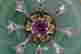 item-133349736=3