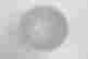 item-133349800=4