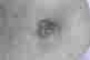 item-134031884=9