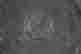 item-136652127=10