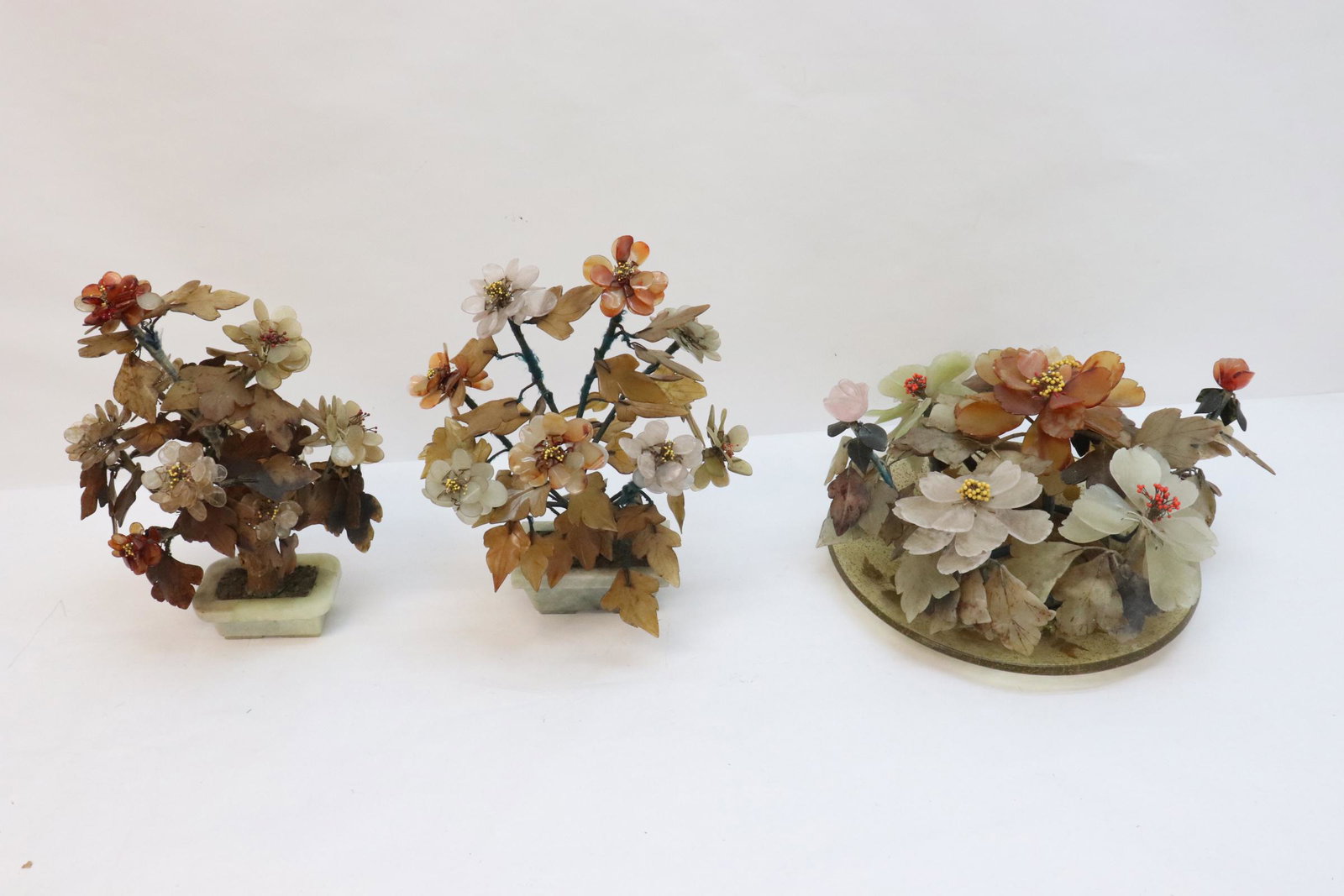 3 jade trees (1 of 10)