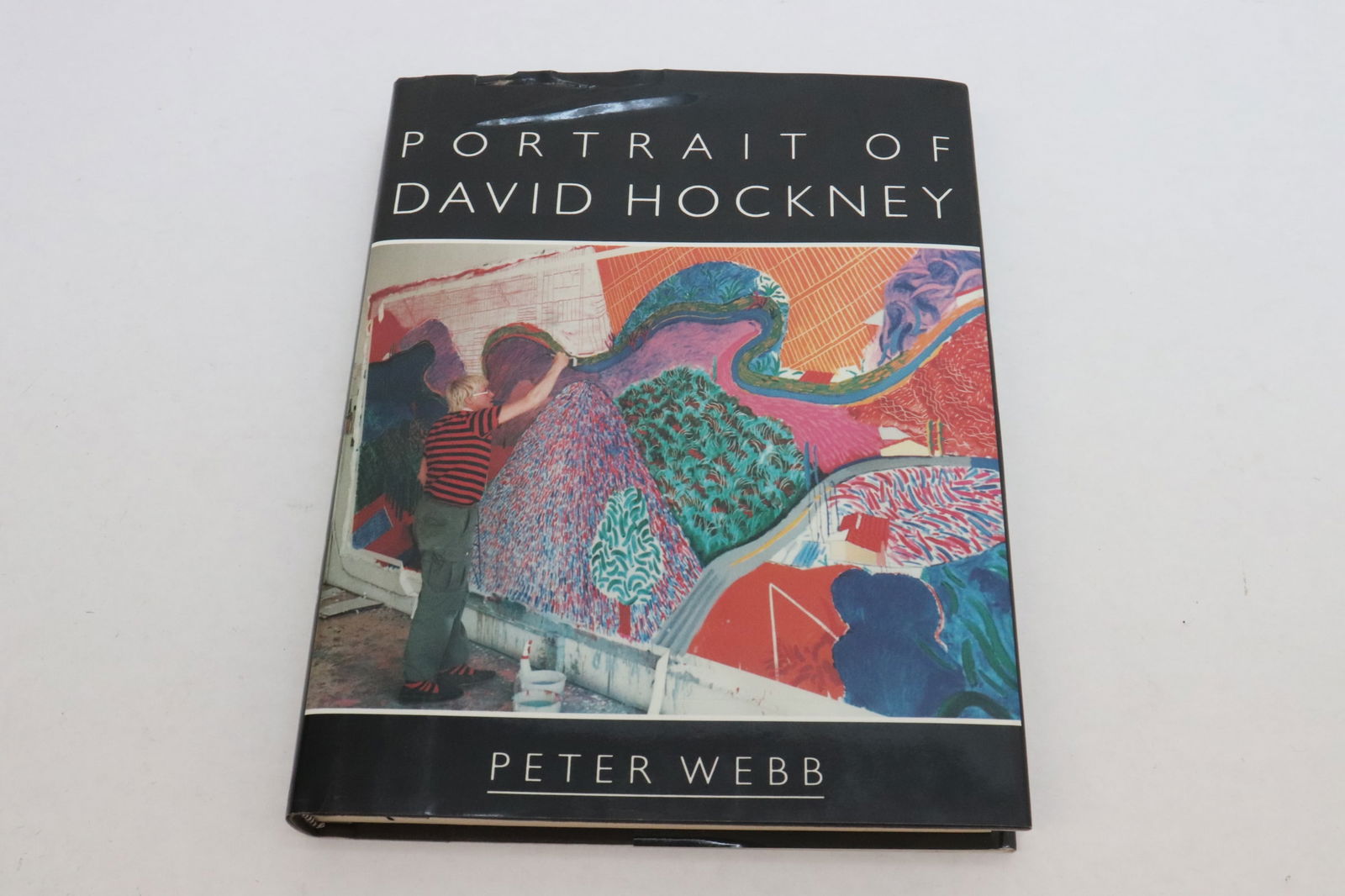 "portrait of David Hockney" by Peter Webb signed by David Hockney, signed (1 of 12)