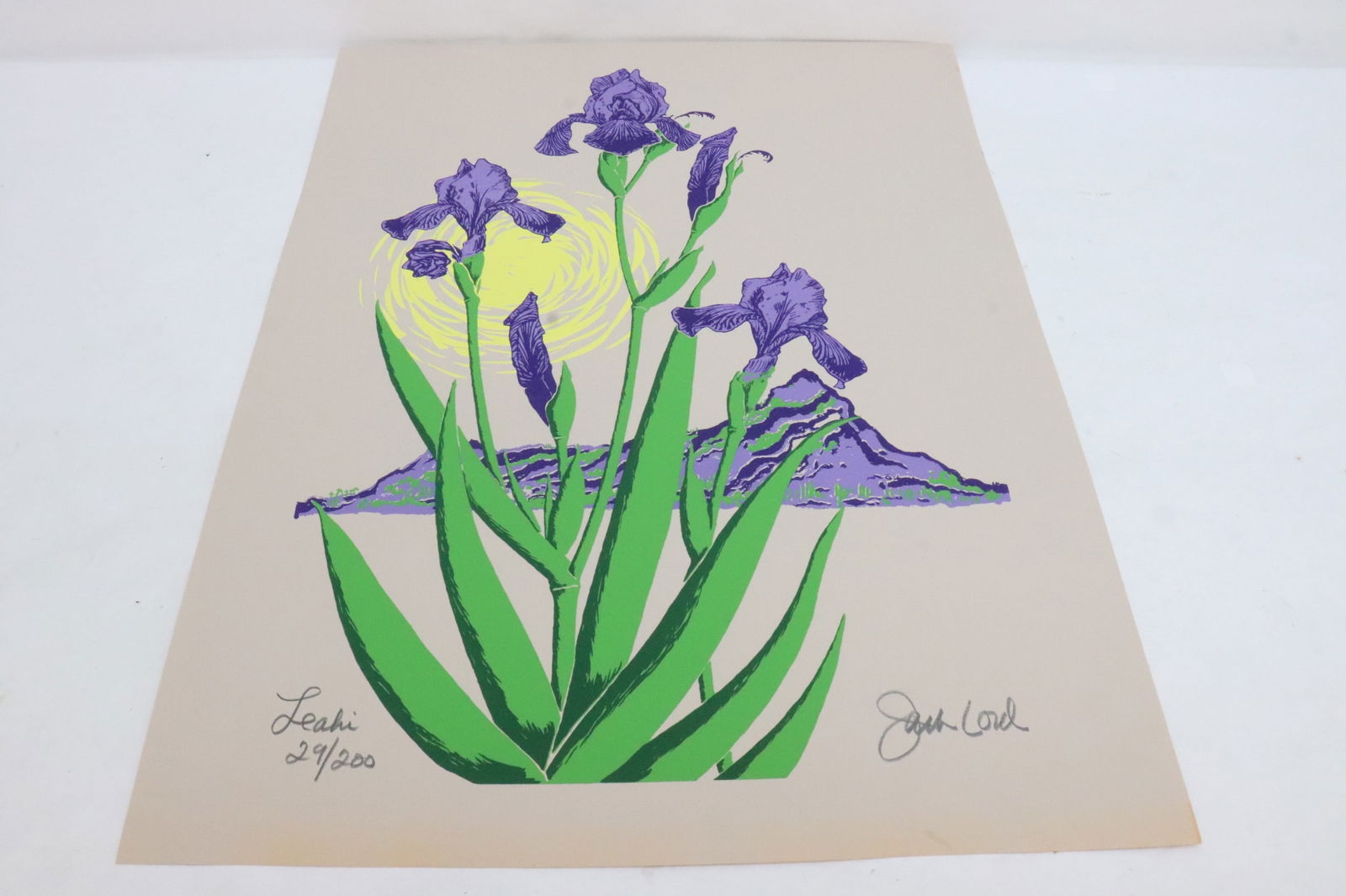 Etching in color by Jack Lord: Etching in color by Jack Lord, ed 29/200, provenance: Estate of Jack and Marie Lord, 26"x20"
